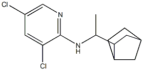 N-(1-{bicyclo[2.2.1]heptan-2-yl}ethyl)-3,5-dichloropyridin-2-amine 结构式