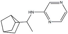 N-(1-{bicyclo[2.2.1]heptan-2-yl}ethyl)pyrazin-2-amine 结构式