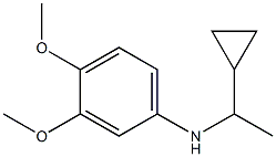 N-(1-cyclopropylethyl)-3,4-dimethoxyaniline 结构式