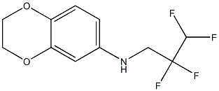 N-(2,2,3,3-tetrafluoropropyl)-2,3-dihydro-1,4-benzodioxin-6-amine 结构式