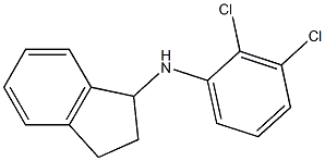 N-(2,3-dichlorophenyl)-2,3-dihydro-1H-inden-1-amine 结构式