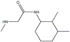 N-(2,3-dimethylcyclohexyl)-2-(methylamino)acetamide 结构式