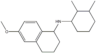N-(2,3-dimethylcyclohexyl)-6-methoxy-1,2,3,4-tetrahydronaphthalen-1-amine 结构式