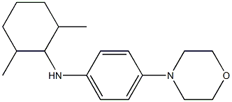 N-(2,6-dimethylcyclohexyl)-4-(morpholin-4-yl)aniline 结构式