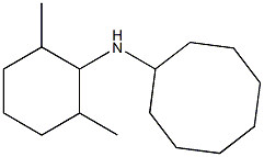 N-(2,6-dimethylcyclohexyl)cyclooctanamine 结构式