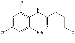 N-(2-amino-4,6-dichlorophenyl)-4-methoxybutanamide 结构式