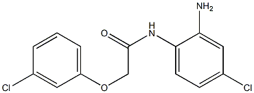 N-(2-amino-4-chlorophenyl)-2-(3-chlorophenoxy)acetamide 结构式