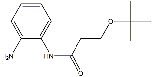 N-(2-aminophenyl)-3-(tert-butoxy)propanamide 结构式