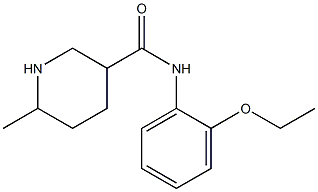 N-(2-ethoxyphenyl)-6-methylpiperidine-3-carboxamide 结构式