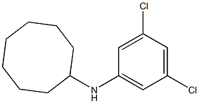 N-(3,5-dichlorophenyl)cyclooctanamine 结构式