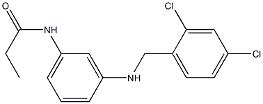 N-(3-{[(2,4-dichlorophenyl)methyl]amino}phenyl)propanamide 结构式