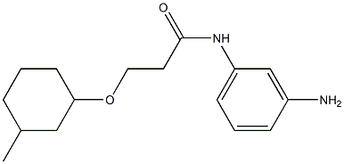 N-(3-aminophenyl)-3-[(3-methylcyclohexyl)oxy]propanamide 结构式