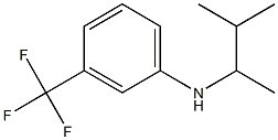 N-(3-methylbutan-2-yl)-3-(trifluoromethyl)aniline 结构式