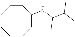 N-(3-methylbutan-2-yl)cyclooctanamine 结构式