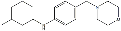 N-(3-methylcyclohexyl)-4-(morpholin-4-ylmethyl)aniline 结构式