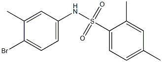 N-(4-bromo-3-methylphenyl)-2,4-dimethylbenzene-1-sulfonamide 结构式