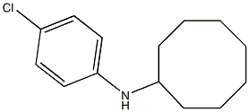 N-(4-chlorophenyl)cyclooctanamine 结构式