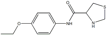 N-(4-ethoxyphenyl)-1,3-thiazolidine-4-carboxamide 结构式