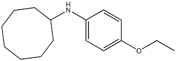 N-(4-ethoxyphenyl)cyclooctanamine 结构式