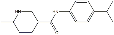 N-(4-isopropylphenyl)-6-methylpiperidine-3-carboxamide 结构式