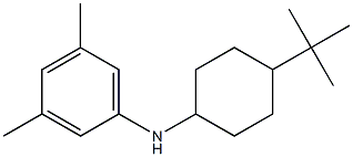 N-(4-tert-butylcyclohexyl)-3,5-dimethylaniline 结构式