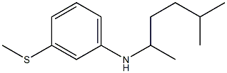 N-(5-methylhexan-2-yl)-3-(methylsulfanyl)aniline 结构式