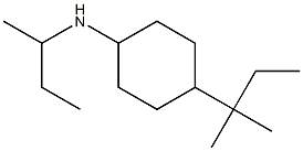 N-(butan-2-yl)-4-(2-methylbutan-2-yl)cyclohexan-1-amine 结构式