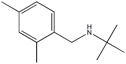 N-(tert-butyl)-N-(2,4-dimethylbenzyl)amine 结构式