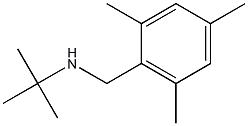 N-(tert-butyl)-N-(mesitylmethyl)amine 结构式