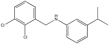 N-[(2,3-dichlorophenyl)methyl]-3-(propan-2-yl)aniline 结构式