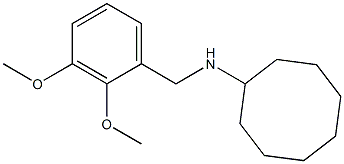 N-[(2,3-dimethoxyphenyl)methyl]cyclooctanamine 结构式