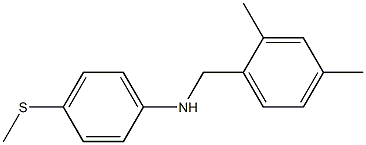 N-[(2,4-dimethylphenyl)methyl]-4-(methylsulfanyl)aniline 结构式