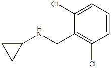 N-[(2,6-dichlorophenyl)methyl]cyclopropanamine 结构式