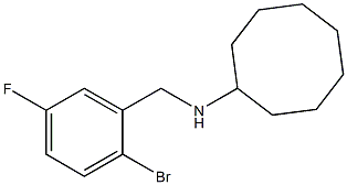 N-[(2-bromo-5-fluorophenyl)methyl]cyclooctanamine 结构式