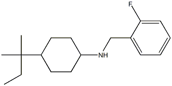 N-[(2-fluorophenyl)methyl]-4-(2-methylbutan-2-yl)cyclohexan-1-amine 结构式