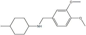 N-[(3,4-dimethoxyphenyl)methyl]-4-methylcyclohexan-1-amine 结构式