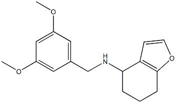 N-[(3,5-dimethoxyphenyl)methyl]-4,5,6,7-tetrahydro-1-benzofuran-4-amine 结构式