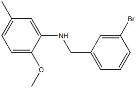 N-[(3-bromophenyl)methyl]-2-methoxy-5-methylaniline 结构式