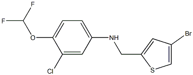 N-[(4-bromothiophen-2-yl)methyl]-3-chloro-4-(difluoromethoxy)aniline 结构式