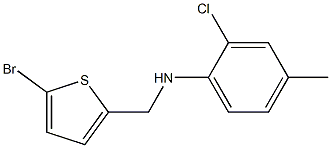 N-[(5-bromothiophen-2-yl)methyl]-2-chloro-4-methylaniline 结构式