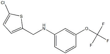 N-[(5-chlorothiophen-2-yl)methyl]-3-(trifluoromethoxy)aniline 结构式