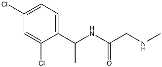 N-[1-(2,4-dichlorophenyl)ethyl]-2-(methylamino)acetamide 结构式
