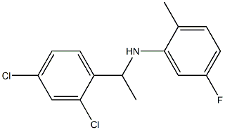 N-[1-(2,4-dichlorophenyl)ethyl]-5-fluoro-2-methylaniline 结构式