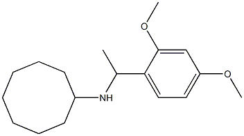 N-[1-(2,4-dimethoxyphenyl)ethyl]cyclooctanamine 结构式