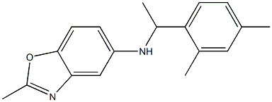 N-[1-(2,4-dimethylphenyl)ethyl]-2-methyl-1,3-benzoxazol-5-amine 结构式