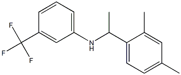 N-[1-(2,4-dimethylphenyl)ethyl]-3-(trifluoromethyl)aniline 结构式