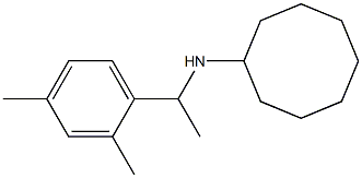 N-[1-(2,4-dimethylphenyl)ethyl]cyclooctanamine 结构式