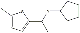 N-[1-(5-methylthiophen-2-yl)ethyl]cyclopentanamine 结构式