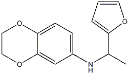 N-[1-(furan-2-yl)ethyl]-2,3-dihydro-1,4-benzodioxin-6-amine 结构式