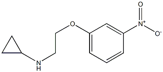 N-[2-(3-nitrophenoxy)ethyl]cyclopropanamine 结构式